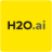 H2O AutoML