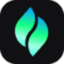 Verdent AI